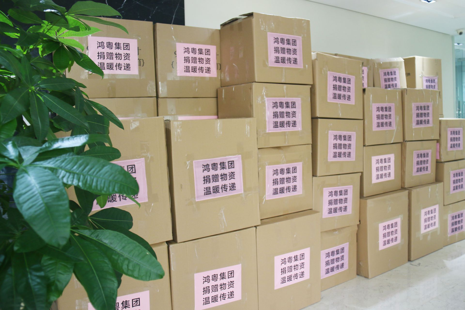 广州宜晨文化艺术展览有限公司公益回顾丨家国同欢月同圆 温暖满载甘孜州(图1) 广州宜晨文化艺术展览有限公司公益回顾丨家国同欢月同圆 温暖满载甘孜州(图1)